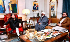 عمران خان سے ملاقات کے بعد ایم ڈبلیو ایم کا پرویز الٰہی کو اعتماد کا ووٹ دینے کا اعلان