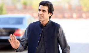 نئی جماعت نہیں بن رہی، ہم ن لیگ کے اتحادی ہیں، عون چوہدری