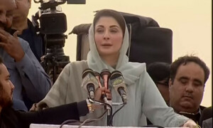 مریم نواز کا یکم فروری سے پنجاب کے تمام اضلاع کے دورے کرنےکا اعلان