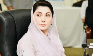 شاہد خاقان عباسی پارٹی کا اثاثہ ہیں، جلد ملاقات کروں گی، مریم نواز