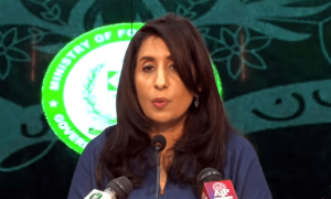 ہم الزام تراشی پر یقین نہیں رکھتے، دفتر خارجہ