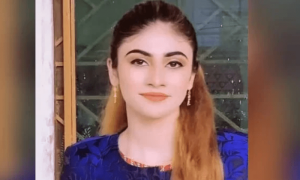 دانیہ شاہ کی درخواست ضمانت پرفیصلہ محفوظ