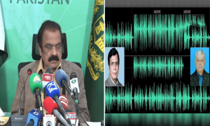 رانا ثناء اللہ نے جج اور پرویزالہیٰ کی مبینہ آڈیو ریلیز کردی