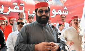 شہباز شریف کمزور ہیں، ان کی جگہ میں ہوتا تو عمران خان کو گریبان سے پکڑتا، ایمل ولی