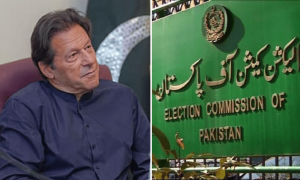 عمران خان کو پارٹی چیئرمین شپ سے ہٹانے کی درخواست خارج
