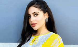 مسلم کمیونٹی کے قبرستان میں عرفی جاوید کی میت کو جگہ نہ دی جائے، درخواست