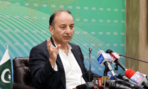 امیر اب مہنگا اور غریب سستا پٹرول خریدے گا، وزیرمملکت پیٹرولیم