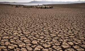 UN warns &lsquo;vampiric&rsquo; water use leading to &lsquo;imminent&rsquo; global crisis