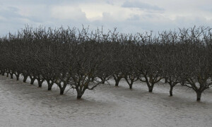 Ghost lake set to reappear as California hit again by rain