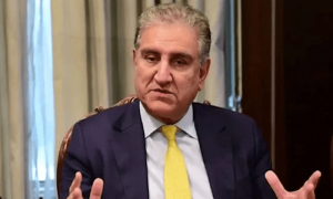 بھٹو کے بنائے آئین کو زرداریوں نے برباد کردیا، شاہ محمود قریشی