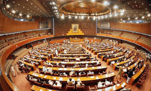 سپریم کورٹ کے فیصلے کے خلاف قومی اسمبلی میں قرارداد منظور