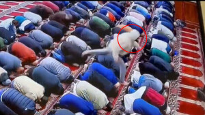 New Jersey Imam stabbed during Fajr prayers at Omar Mosque