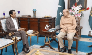 ایم کیو ایم پاکستان کی وزیراعظم کو اعتماد کا ووٹ دینے کی یقین دہانی