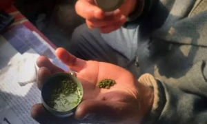 نسوار کے ساتھ فضائی سفرجرم اور قابل سزا ہے، اینٹی نارکوٹکس کی وارننگ