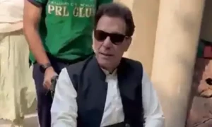 عمران کی دو مقدمات میں عبوری ضمانت، 7 میں شامل تفیش ہونے کا حکم