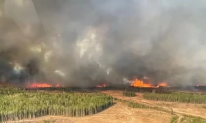 Alberta declares state of emergency over wildfires