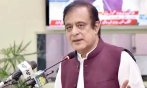 زمان پارک آپریشن: شبلی فراز کی درخواست ضمانت پر فیصلہ محفوظ