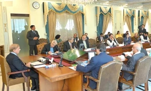 وفاقی کابینہ کی پنجاب، کے پی اور اسلام آباد میں فوج تعینات کرنے کی توثیق