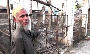 پی ٹی آئی مظاہرین نے متعدد مویشی زندہ جلا دیئے