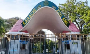 کراچی چڑیا گھر کو واقعی بند کردینا چاہیئے