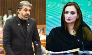 پی ٹی آئی رہنما علی محمد خان رہائی کے بعد دوبارہ گرفتار، ملیکہ بخاری کی متضاد اطلاعات