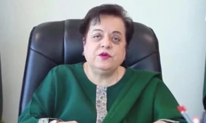 شیریں مزاری عدالت سے رہائی کے بعد 5 ویں بار گرفتار