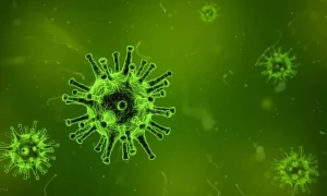 کراچی، نگلیریا سے ایک اور شخص جان کی بازی ہار گیا