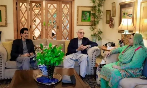 جہانگیر ترین کی فردوس عاشق اعوان سمیت 20 سے زائد سیاسی رہنماؤں سے ملاقاتیں