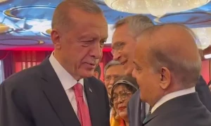 وزیراعظم کے آموں کے تحفے پر ترک صدر مسکرا دیے