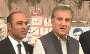 عدالت نے شاہ محمود قریشی کیخلاف درج تمام مقدمات کی تفصیلات طلب کرلیں