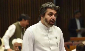 پی ٹی آئی رہنما علی محمد خان رہائی کے بعد پانچویں بار گرفتار