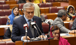 وزیر خزانہ کا بیرون ملک مقیم پاکستانیوں کیلئے خصوصی &rdquo;ڈائمنڈ کارڈ&ldquo; کا اعلان
