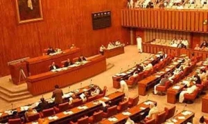 آصف کرمانی کی تقریر پر پی ٹی آئی کا ہنگامہ، چیئرمین سینیٹ نے معاملہ رفع دفع کردیا