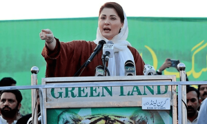 نوازشریف کا نام نکال دو تو پاکستان میں کھنڈرات کے علاوہ کچھ نہیں بچتا، مریم نواز