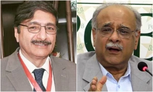 نئے چیئرمین بی سی بی کی نامزدگی پر ن لیگ اور پیپلز پارٹی میں ڈیڈلاک برقرار
