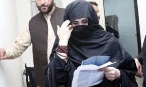 بشریٰ بی بی کی ضمانت منظور، خیبرپختونخوا، بلوچستان میں کوئی مقدمہ درج نہیں، عدالت میں جواب جمع