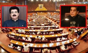 پی اے سی کا چیئرمین سینیٹ، اسپیکر قومی اسمبلی کی مراعات میں اضافے کے بل پر تحفظات کا اظہار