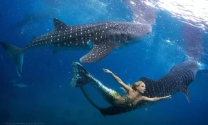 فلم دیکھ کر 20 سال سے جل پری بننے والی خاتون