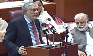 بجٹ 24-2023 منظور، 215 ارب روپے کے نئے ٹیکس، پیٹرولیم لیوی بڑھانے کا اعلان