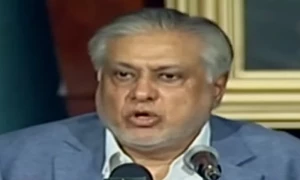 آئی ایم ایف سے 23 واں پروگرام سائن ہوا، صرف 9 ماہ کیلئے ہے، وزیر خزانہ