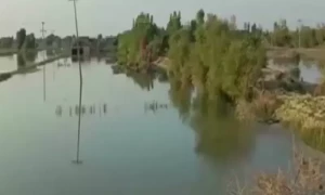 موسمیاتی تبدیلوں کے اثرات کو کیسے کم کیا جائے