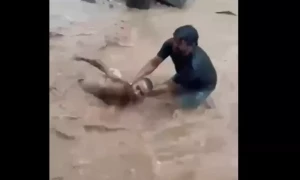 سیلابی پانی میں ڈوبنے اور واویلے پر بھارتی شہری کو تھپڑ پڑ گئے