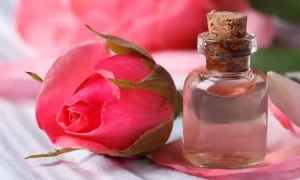 گلاب کے عرق میں چھپے بیش بہا قدرتی فوائد