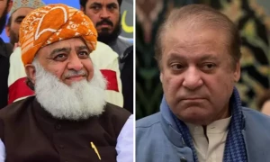 نواز شریف اور فضل الرحمان میں رابطہ، نگران سیٹ اپ پر تبادلہ خیال