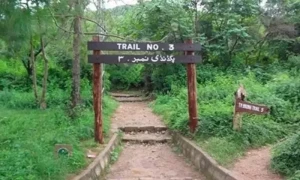 ٹریل تھری مبینہ زیادتی کیس میں اسلام آباد پولیس کے شکایت کنندہ خاتون پر الزامات