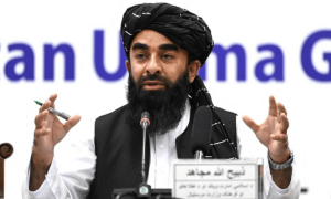 دوحہ معاہدہ امریکا سے کیا، پاکستان ٹی ٹی پی کیخلاف ثبوت دے، افغان حکومت