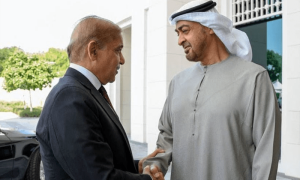 اسٹیٹ بینک میں 1 ارب ڈالر رکھوانے پر وزیراعظم، اماراتی صدر کے شکر گزار