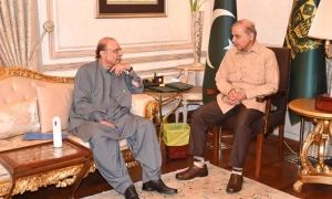 نگران سیٹ اپ پر ن لیگ کی 5 رکنی مذاکراتی کمیٹی تشکیل، فیصلہ نواز کرینگے، شہباز کا زرداری کو جواب