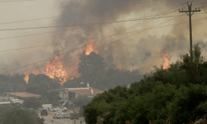 Climate change role in July heatwaves &lsquo;overwhelming&rsquo;, scientists say