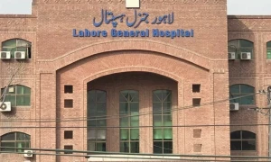 ملازمہ تشدد کیس: ڈاکٹر رضوانہ کی صحت میں مزید بہتری کے لیے پُرامید
